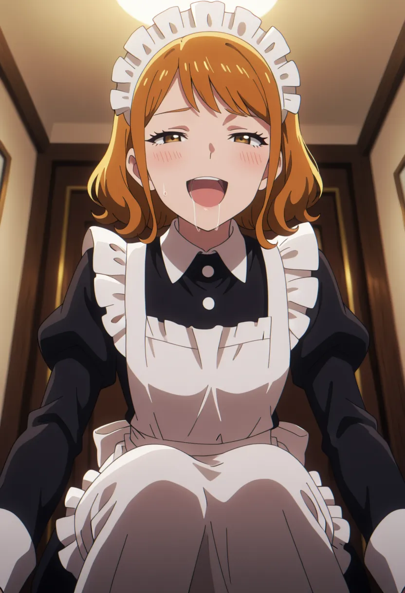 Preview of Maid_Two LoRA